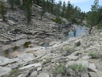 YosemiteCreek 118 : YosemiteCreek